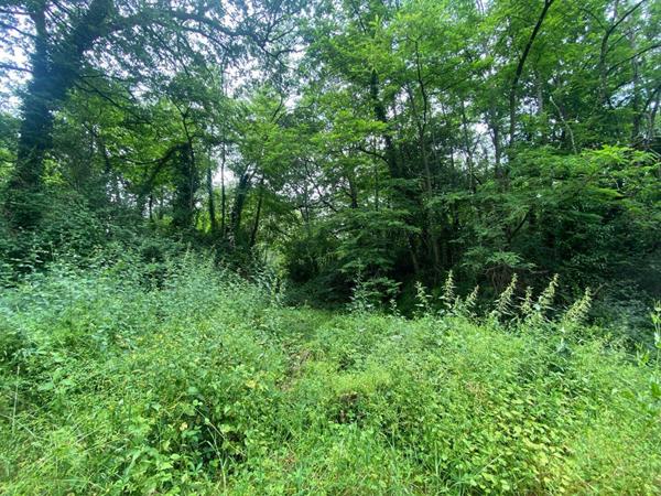 Terrain à vendre    Puygaillard-de-Quercy