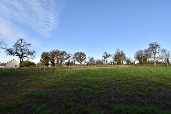 Maison à vendre 6 pièces DOMFRONT EN POIRAIE (61)