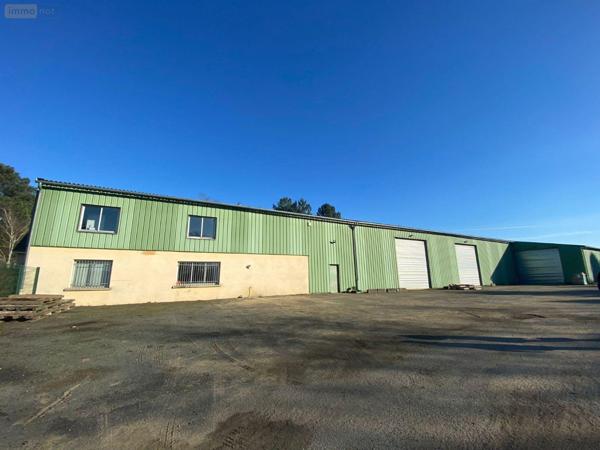 Local industriel à louer à Le Mans dans la Sarthe (72000), ref : 72122-1350