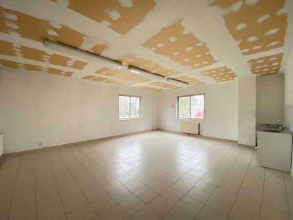 Local industriel à louer à Le Mans dans la Sarthe (72000), ref : 72122-1350