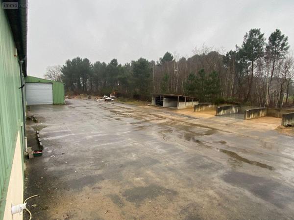 Local industriel à louer à Le Mans dans la Sarthe (72000), ref : 72122-1350