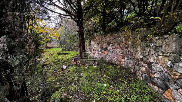PROPRIETE D'EXCEPTION EN CENTRE D'UN BOURG PITTORESQUE