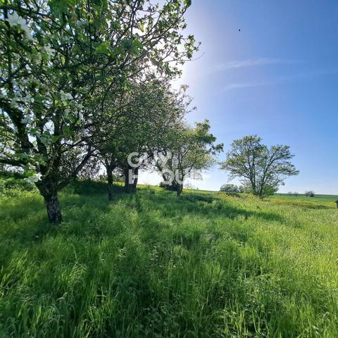 Terrain à vendre - 800m2