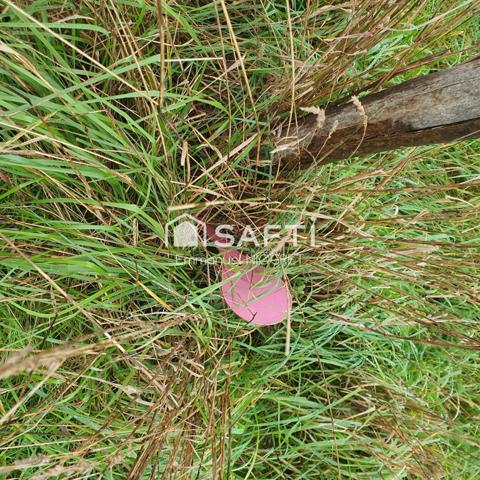 Superbe terrain constructible, borné d'environ 1700 m²