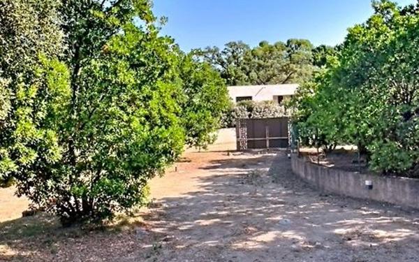 Maison à vendre    3 pièces •  Zonza