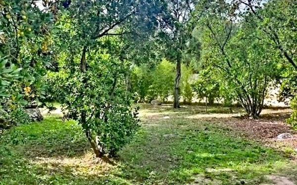 Maison à vendre    3 pièces •  Zonza