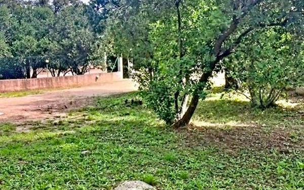 Maison à vendre    3 pièces •  Zonza