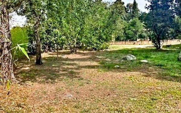 Maison à vendre    3 pièces •  Zonza