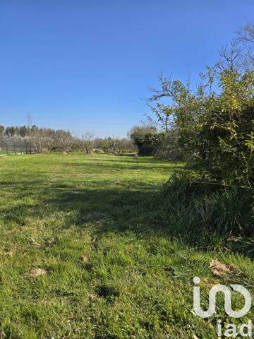 Terrain à vendre 730 m² Montauban