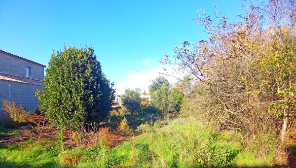 Terrain - 427 m² Exclusivité efficity