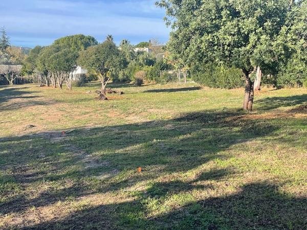 Cassis (13260) superbe terrain plat, constructible et plein Sud