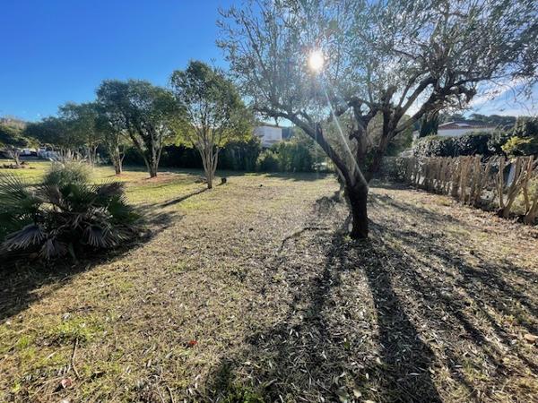 Cassis (13260) superbe terrain plat, constructible et plein Sud