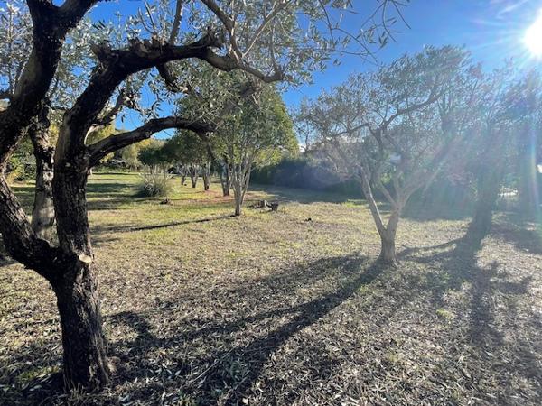 Cassis (13260) superbe terrain plat, constructible et plein Sud