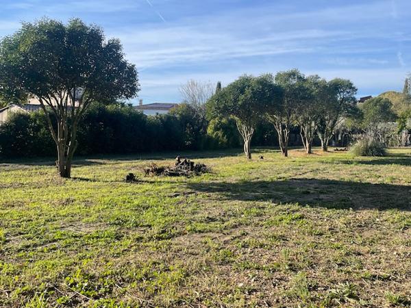Cassis (13260) superbe terrain plat, constructible et plein Sud