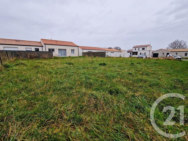 Terrain à vendre  435 m2 GROSBREUIL - 85