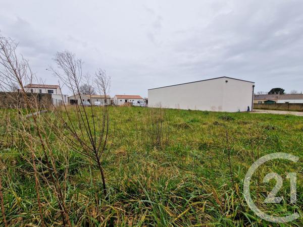 Terrain à vendre  435 m2 GROSBREUIL - 85