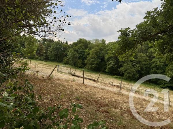 Appartement F2 à vendre  2 pièces - 46,97 m 2   CONDAT SUR VIENNE  - 87