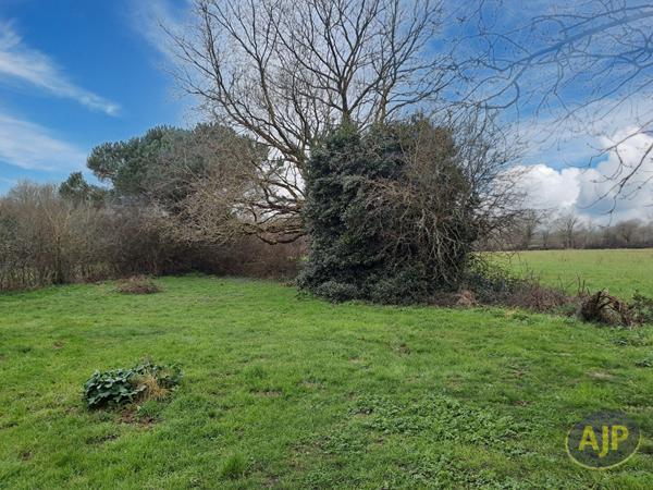 Vente maison Commequiers : 239 900 € - AJP Immobilier Challans