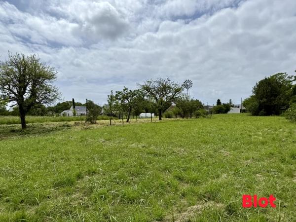Terrain 5321m²