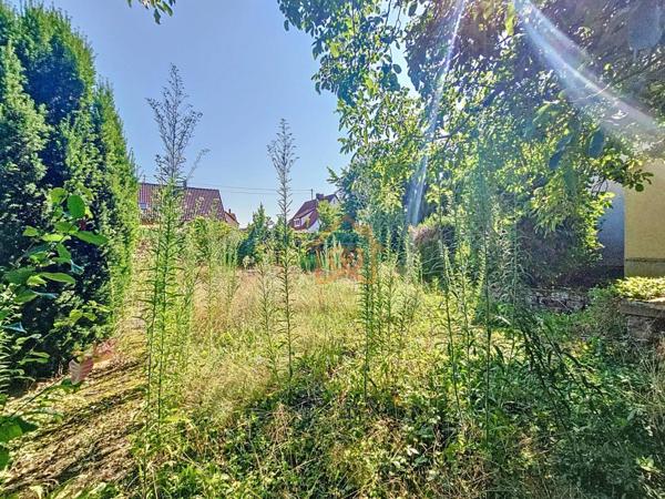 🏡 Maison de maitre – 165 m² – Terrain 826 m² – Souffelweyersheim