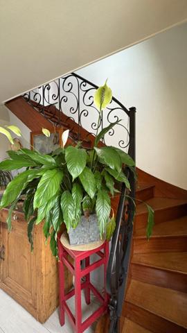 Duplex 3 pieces proche du centre ville d Auray