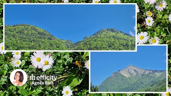 Maison 4 pièces - 60 m² Bien prestige