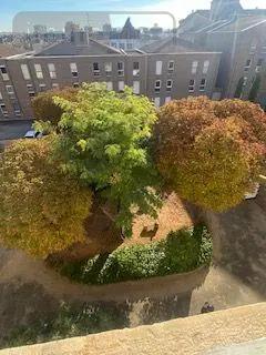 Location - Appartement Mâcon 71000 2 pièces 43 m 2
