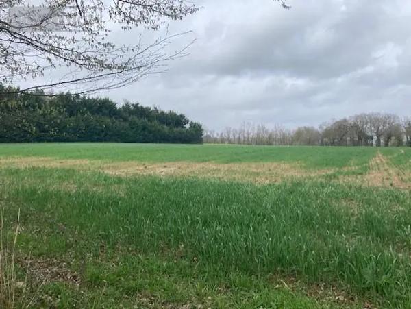 Achat - Terrain à bâtir Guer 56380 7000 m 2