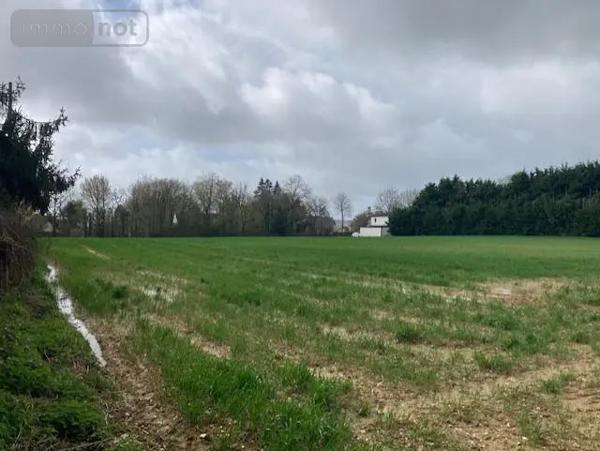 Achat - Terrain à bâtir Guer 56380 7000 m 2