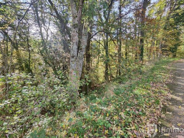 Terrain de 36,09 ares à Bourbach-le-Haut - Belle opportunité à saisir