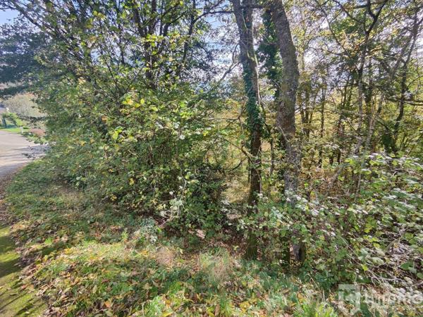 Terrain de 36,09 ares à Bourbach-le-Haut - Belle opportunité à saisir