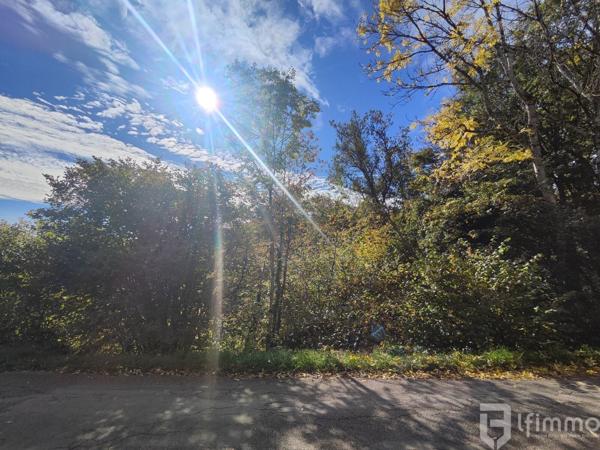 Terrain de 36,09 ares à Bourbach-le-Haut - Belle opportunité à saisir