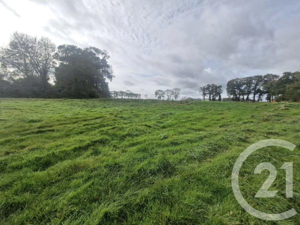 Terrain à vendre  3000 m 2   BLOSSEVILLE  - 76