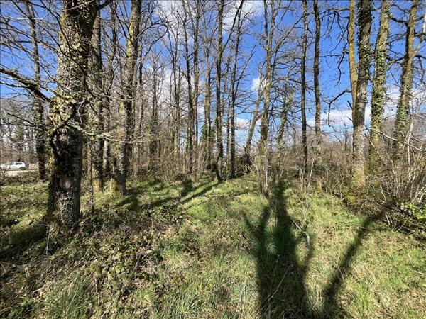 Terrain à vendre 37 620 € Masbaraud-Mérignat 4408 m² DPE