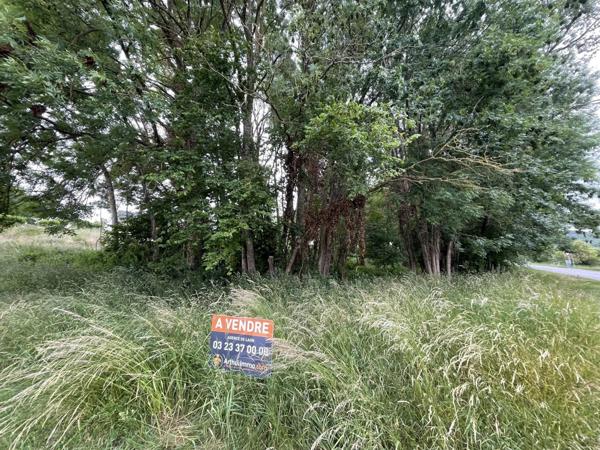 Vente Terrain 6435 m2 à Chamouille