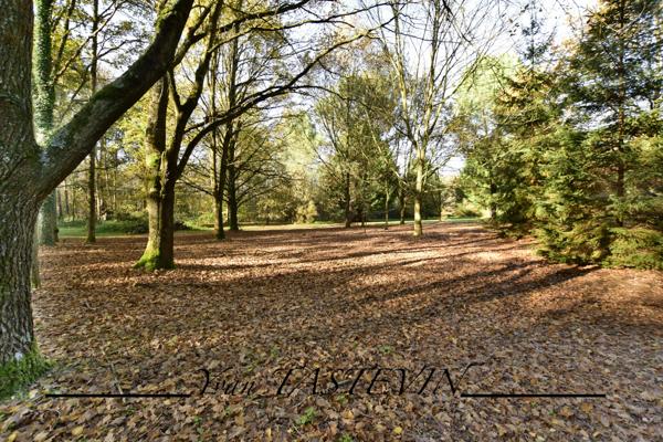 Vente / Maison et grand terrain