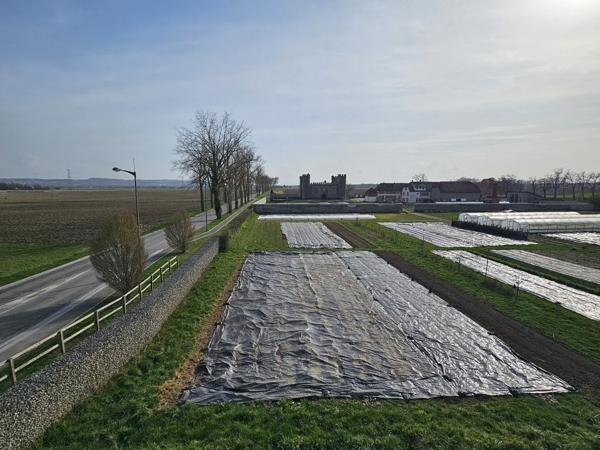 À louer F5 DUPLEX 99m2 HOMBOURG