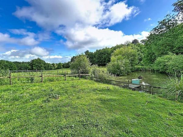 PROPRIÉTÉ EN PIERRE ENTIEREMENT RÉNOVÉE - 4 HECTARES - BOX CHEVAUX - PISCINE