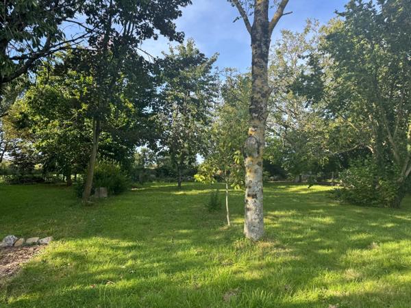 Idéal investisseurs