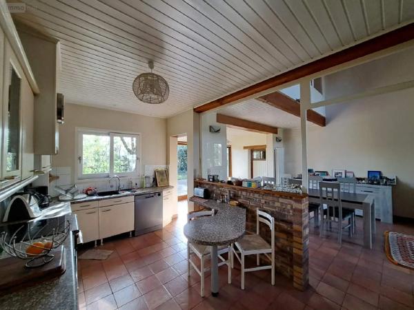 Achat - Maison Ombrée d'Anjou 49420 7 pièces 223 m 2 753 m 2