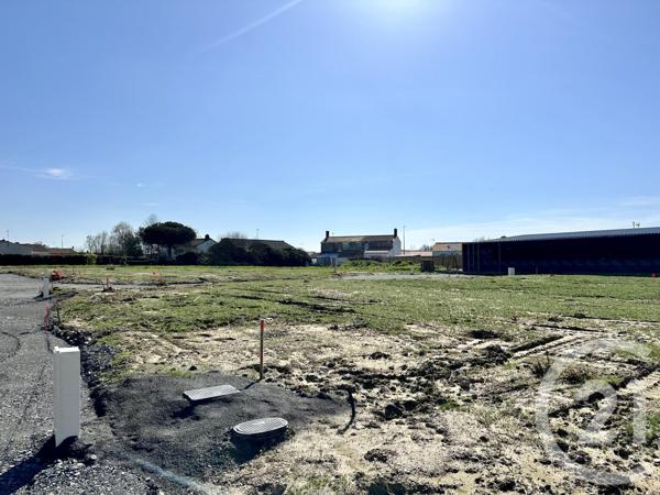 terrain à vendre  470 m2 L AIGUILLON SUR VIE - 85