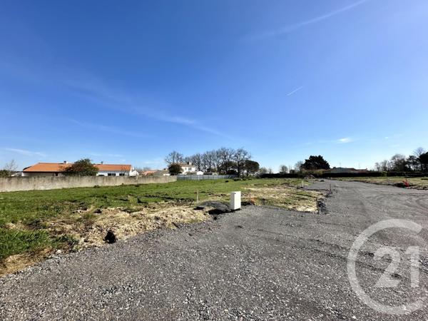 terrain à vendre  470 m2 L AIGUILLON SUR VIE - 85