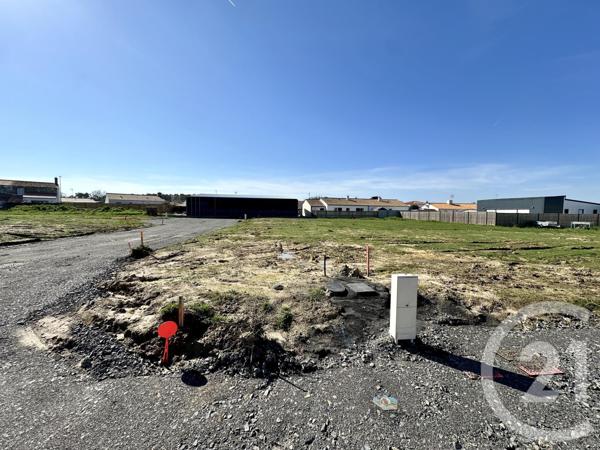 terrain à vendre  470 m2 L AIGUILLON SUR VIE - 85