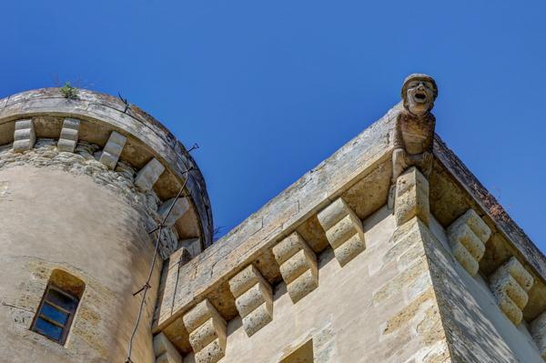 Vente Château Lectoure 30 Pièces 1432 m²