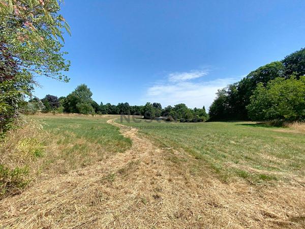 Charmant ensemble en pierre à rénover sur plus de 5 hectares de terrain