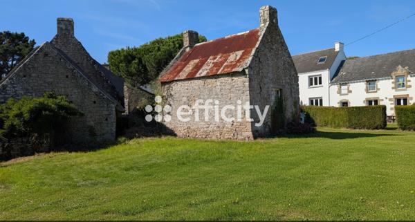 Maison 2 pièces - 45 m² Exclusivité efficity