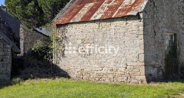 Maison 2 pièces - 45 m² Exclusivité efficity