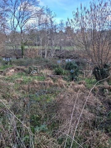 Maison à MERIGNY (36220)