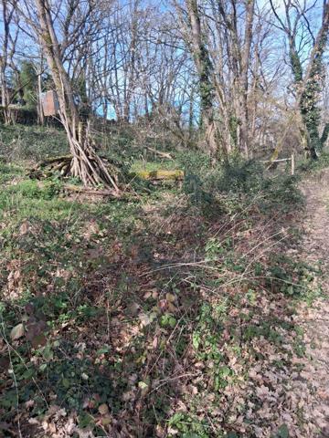 Maison à MERIGNY (36220)