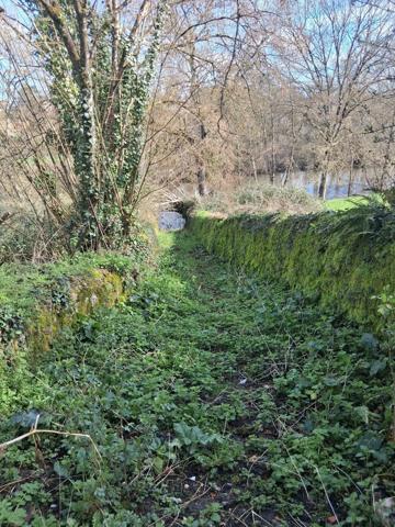 Maison à MERIGNY (36220)